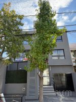 Departamento MONOAMBIENTE en Lomas de Zamora Oeste - Imagen 8