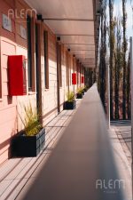 Departamento de Tres Ambientes en Venta en Añelo, Vaca Muerta, Neuquén | Álamos - Imagen 3