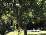 Casa quinta en venta en San Vicente - Imagen 2