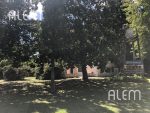 Casa quinta en venta en San Vicente - Imagen 5