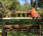 Quinta en Barrio Los Pinos- ALQUILER ANUAL- - Imagen 14