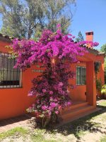 Quinta en Barrio Los Pinos- ALQUILER ANUAL- - Imagen 11